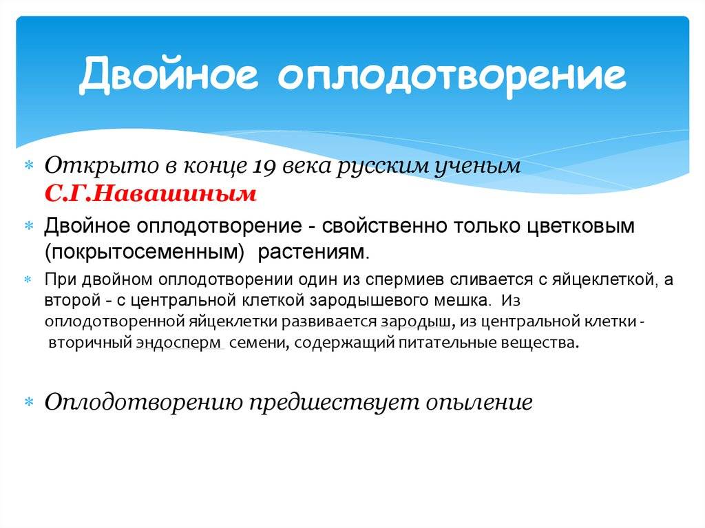 Преимущества двойного оплодотворения. Основные этапы оплодотворения. Значение процесса оплодотворения. Биологическое значение оплодотворение. Этапы. Этапы оплодотворения таблица.