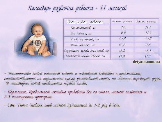 Ребенок в 9 месяцев: развитие, питание, игры, проблемы