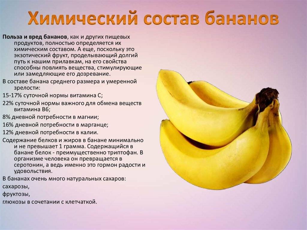 Бананы при гв: за и против ввода в рацион кормящей мамы, польза и вред для здоровья
