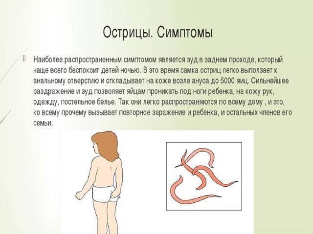 Доктор Комаровский об острицах и других паразитах