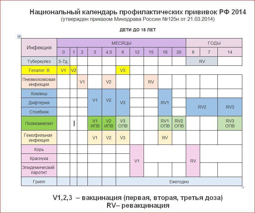 Какие прививки делают детям до года: таблица в россии 2020 по месяцам