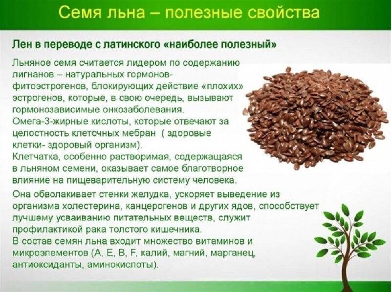 Льна семена (semina lini)