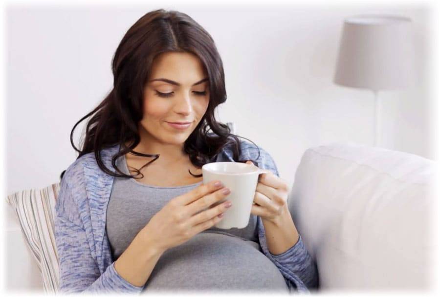 Можно ли беременным мелиссу, когда она противопоказана, как правильно пить с ней зеленый чай?