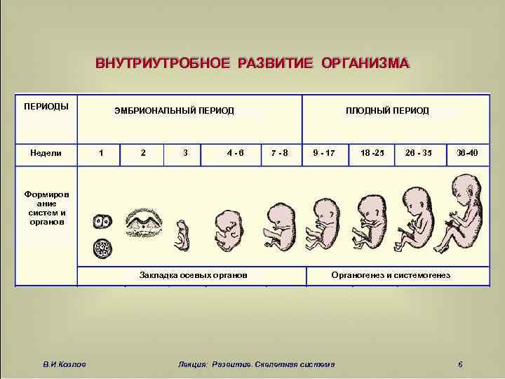 ᐉ опасные периоды при беременности от а до я. критические периоды беременности, о которых нужно помнить - ➡ sp-kupavna.ru