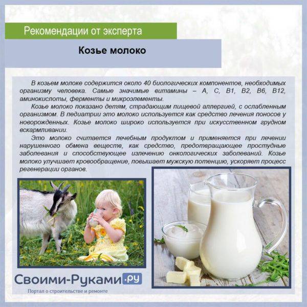 Козье молоко грудным детям: можно ли давать и когда