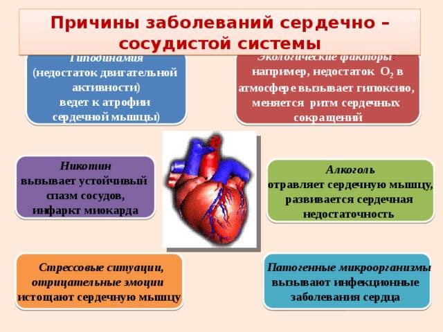 Ибс (ишемическая болезнь сердца) - недостаточность кровоснабжения сердца.: причины, жалобы, диагностика и методы лечения на сайте клиники «альфа-центр здоровья»