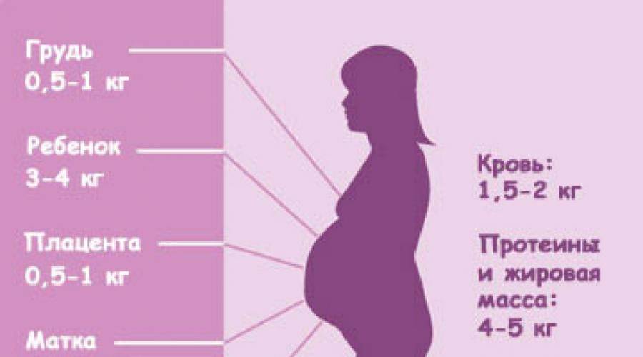 Увеличение веса в третьем триместре беременности - medical insider