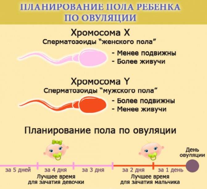 Как забеременеть если не получается: народные способы и советы врачей, отзывы, видео