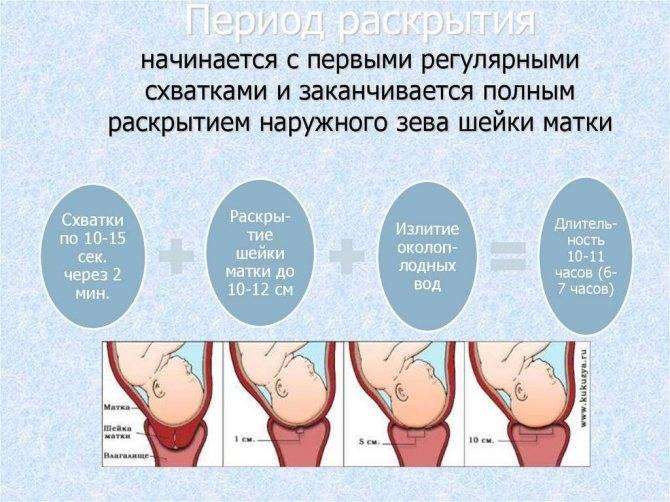 Предвестники родов: какие они на разных сроках беременности и в разных ситуациях (повторнородящие, первородки)