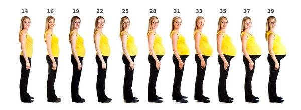 Как меняется живот во время беременности фото | все о беременности