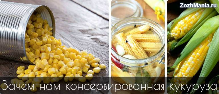 Кукуруза при беременности: можно ли беременным есть вареную и консервированную кукурузу? польза и вред во время беременности