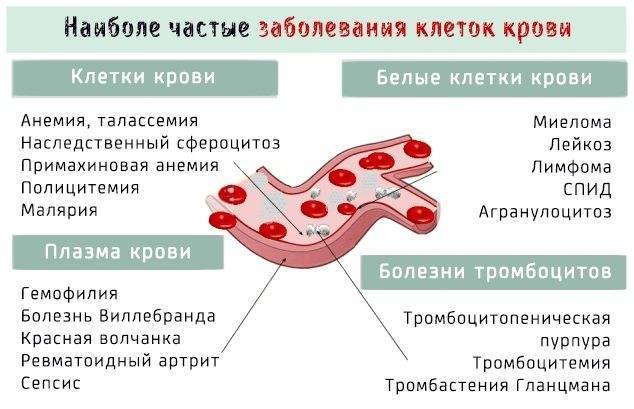 Лямблиоз: чем опасен, симптомы лямблиоза. как заражаются лямблиями. диагностика и лечение лямблиоза