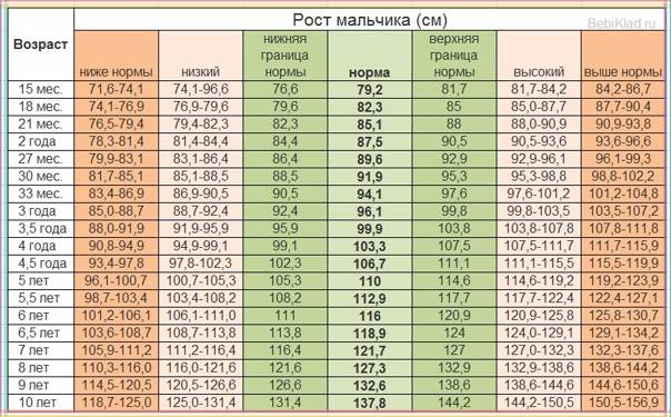 рост и вес мальчика в 12 месяцев