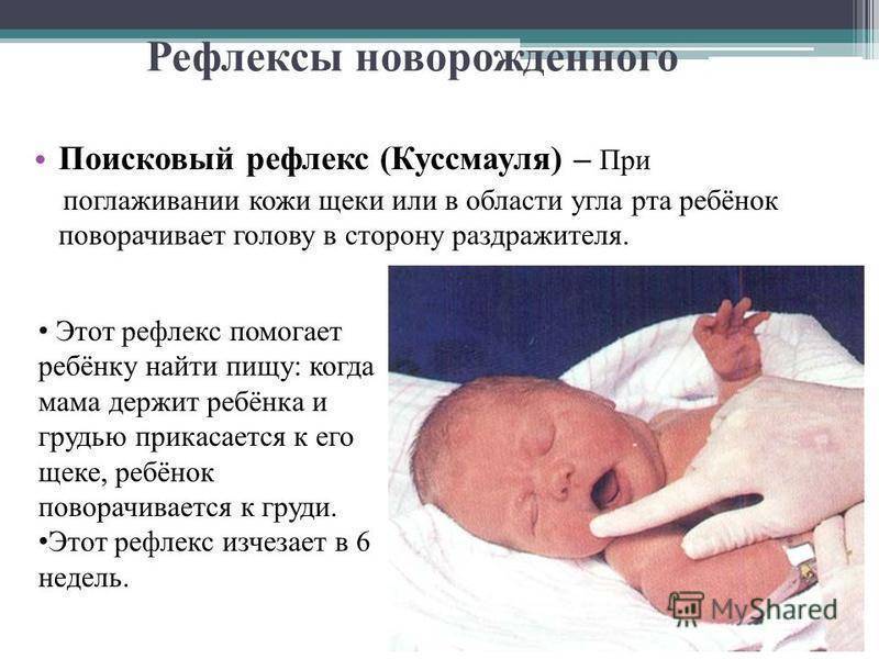 Врождённые физиологические рефлексы — википедия