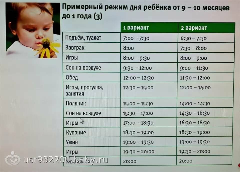 Режим дня ребенка в 9 месяцев по часам: таблица