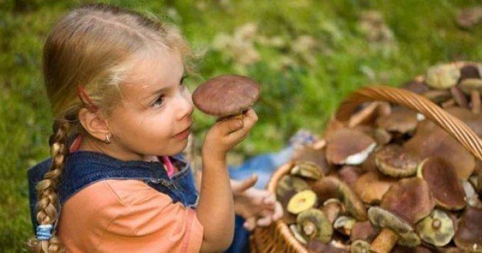 Можно ли детям давать грибы и с какого возраста, мнение специалистов