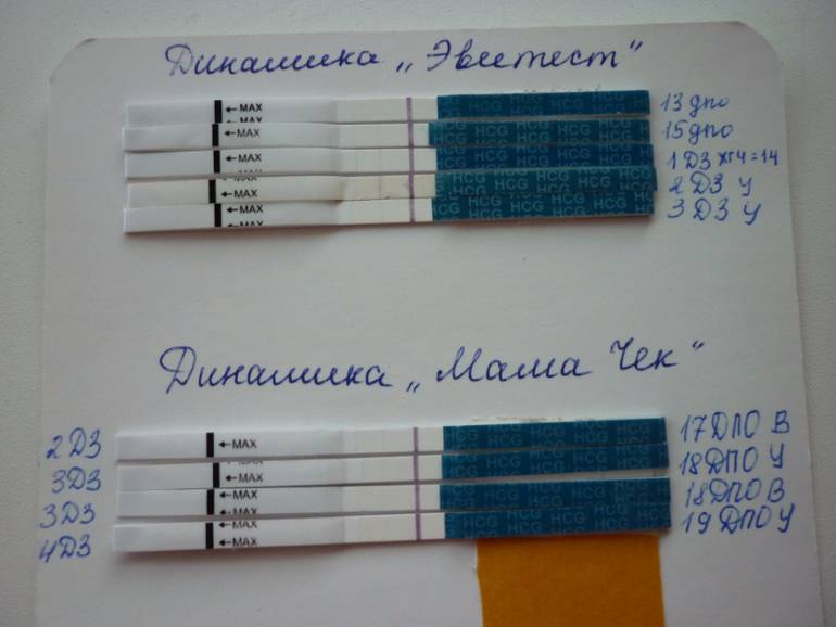Экстракорпоральное оплодотворение: этапы по дням цикла