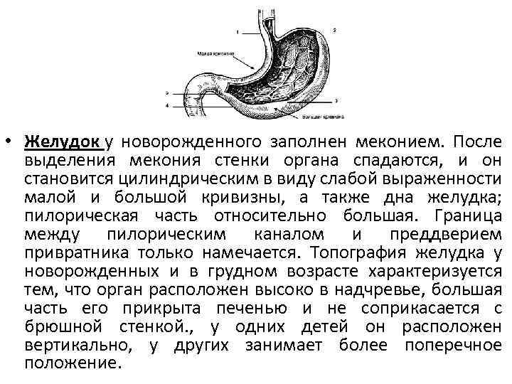 Дисбактериоз и срыгивание у детей - сибирский медицинский портал