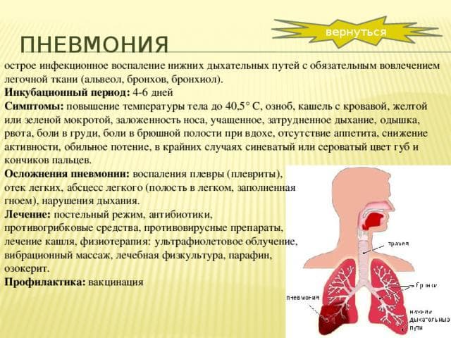 Очаговая пневмония у детей