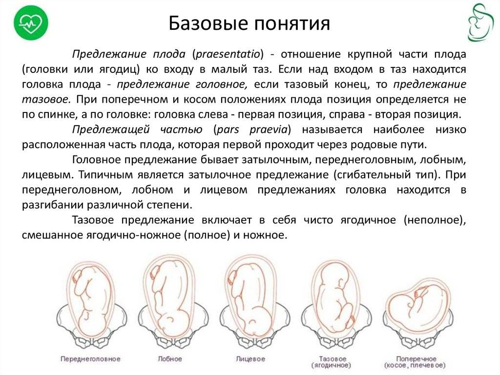 Когда ребенок переворачивается в животе вниз головой и принимает правильное положение (позу) перед родами | house-fitness.ru