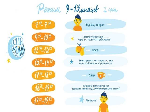 Режим дня ребенка в 9 месяцев: распорядок по часам, питание малыша