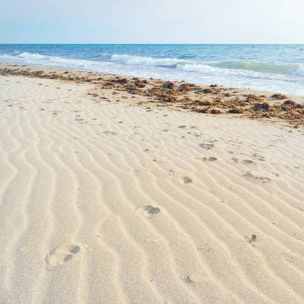 Лучшие песчаные пляжи Крыма для отдыха с детьми