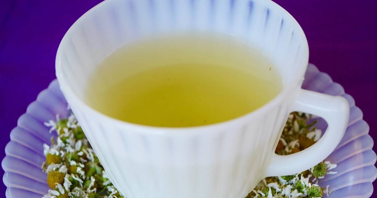 Полезные свойства чая, настоя и отвара ромашки для грудничков