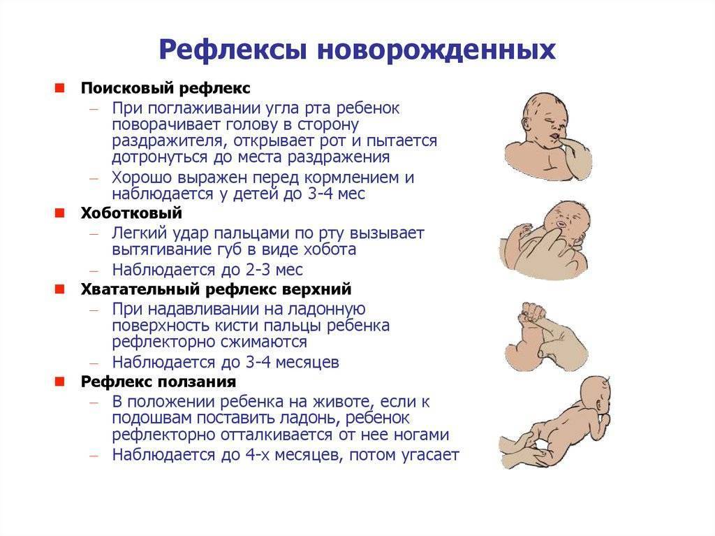Рефлексы новорожденных