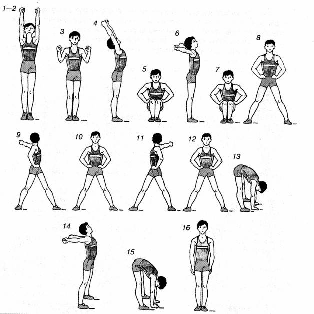 Гимнастика в домашних условиях: 13 упражнений для детей.