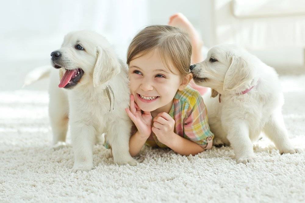 Домашние животные для детей: их значение в развитии ребенка