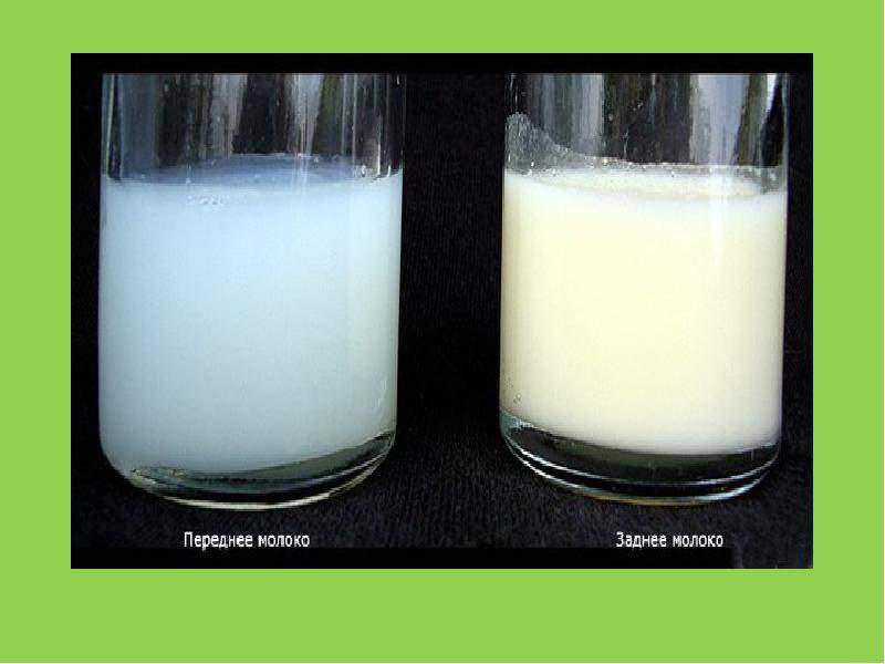 Каким должно быть на вкус грудное молоко в норме и почему