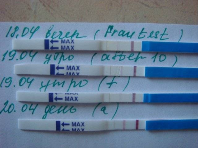 Тест на беременность одна полоска. можно ли делать тест на беременность вечером. несколько правил проведения теста