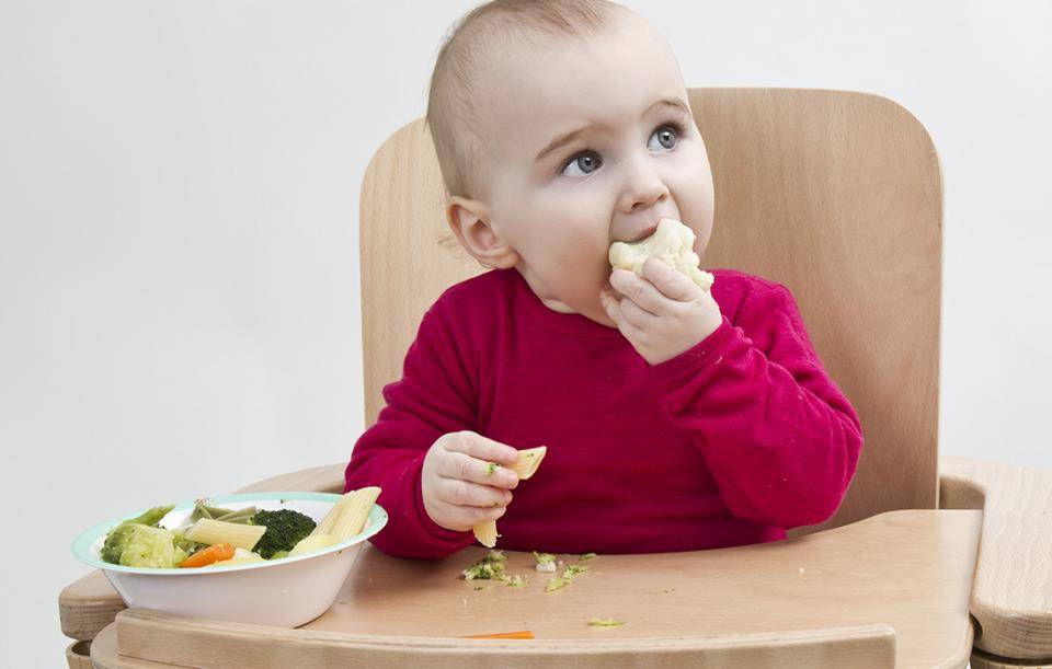 Ребенок не ест овощи: как замаскировать овощи в еде. детское питание и рецепты для детей
