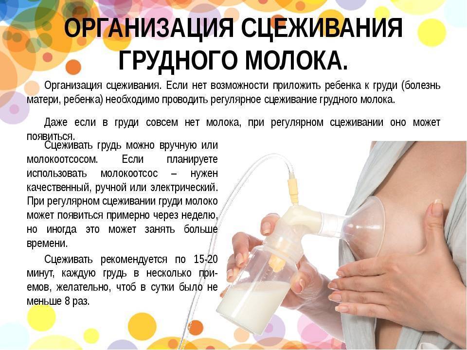 Молочный заводик: как повысить лактацию. как ускорить лактацию после родов как увеличить лактацию после родов