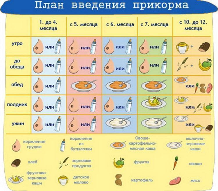Свекла прикорм - энциклопедия детское питание