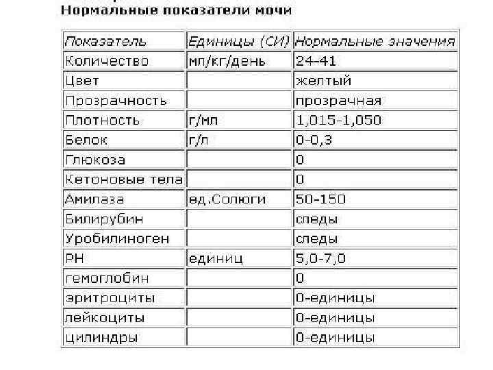 Анализ мочи по каковскому-аддису