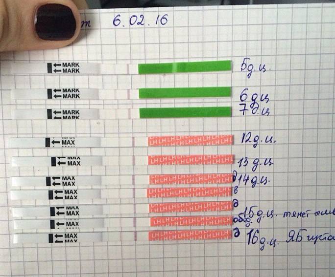 Первые признаки оплодотворения после овуляции у женщин. советы нмк