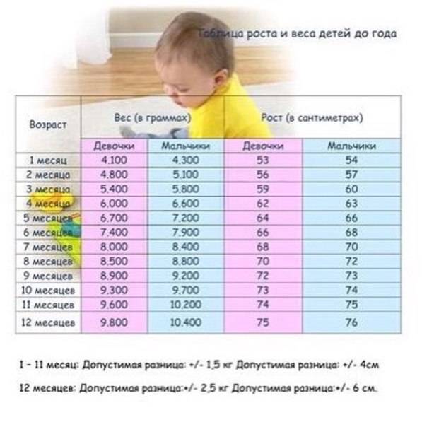 Рост и вес ребенка до 1 года — подробная таблица по месяцам
