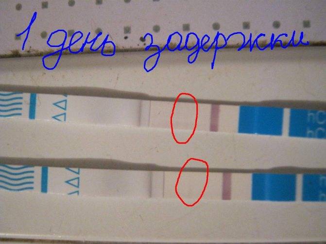 Тесты после подсадки эмбрионов