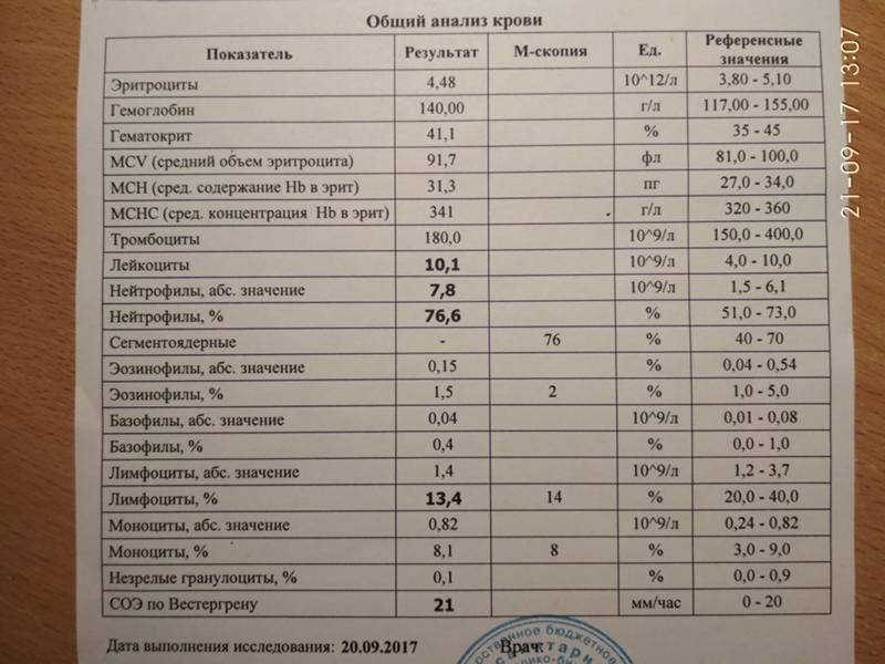 Общий анализ крови в москве - сдать тест на кровь в «нии эпидемологии»