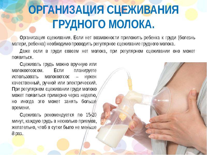 Как узнать, хватает ли грудного молока новорожденному ребенку при вскармливании