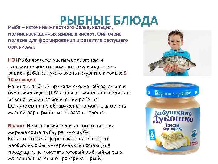 Введение рыбы в прикорм ребенку - когда и какую рыбу вводить