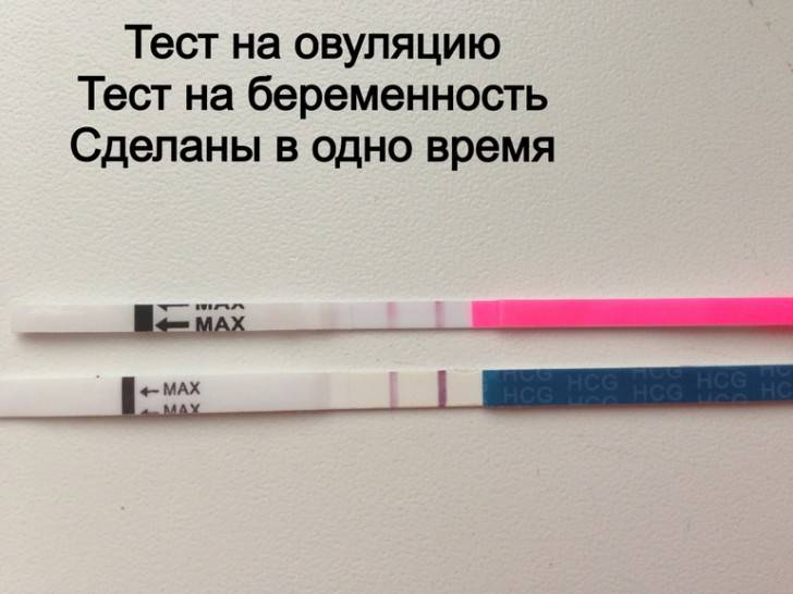 ᐉ что показывает тест на овуляцию при беременности. на какой день покажет результат? может ли у беременных быть положительным тест на овуляцию - ➡ sp-kupavna.ru