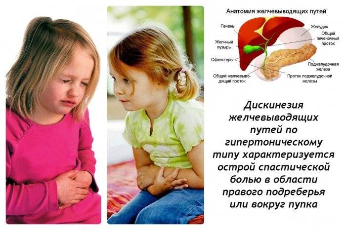 Дискинезия желчевыводящих путей