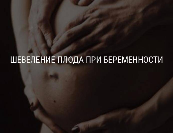 19 неделя беременности: как развивается плод, что ощущает мама