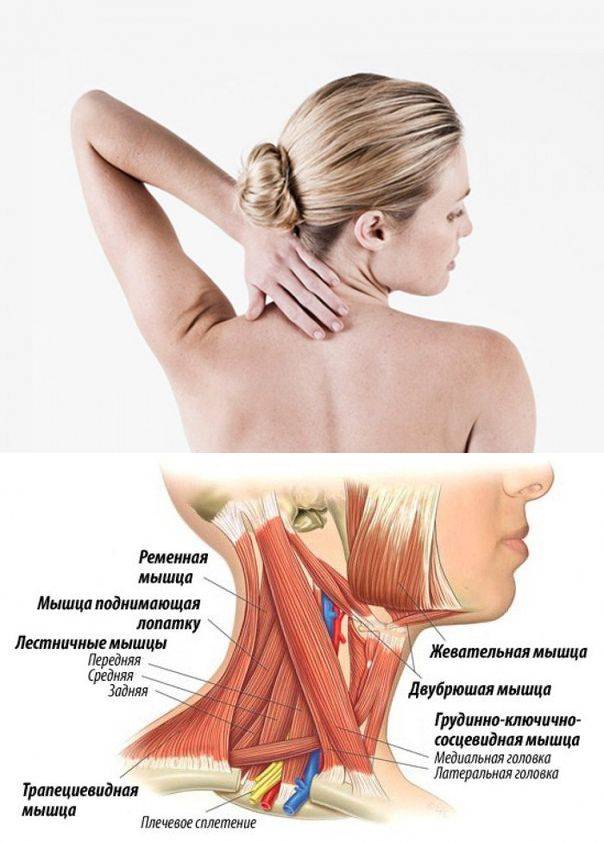 Психосоматика болей в области плечей