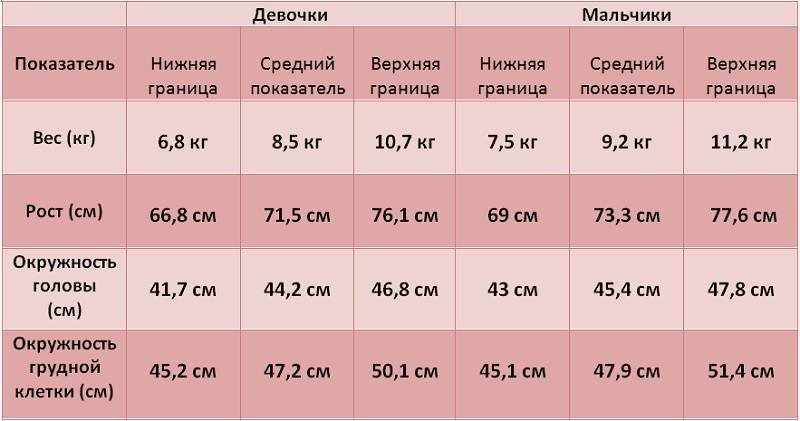 Вес ребенка в 8 месяцев: сколько должен весить мальчик и девочка, таблица