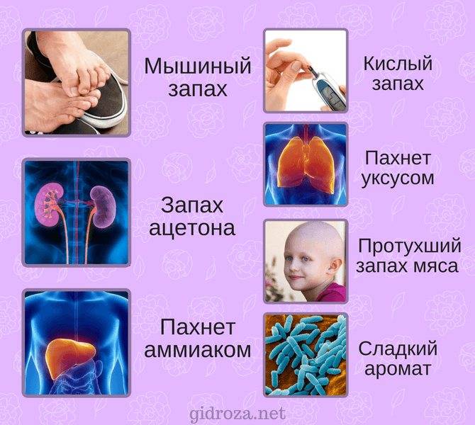 Запах изо рта у ребенка, почему он неприятно пахнет гнилью: причины плохого сильного гнилостного зловония в 2 года – что делать с появившейся резкой вонью у детей 3 лет