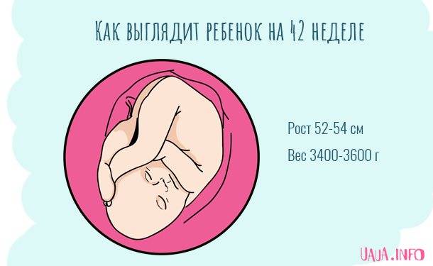 42 неделя беременности: нет никаких признаков родов – что делать, сколько это месяцев