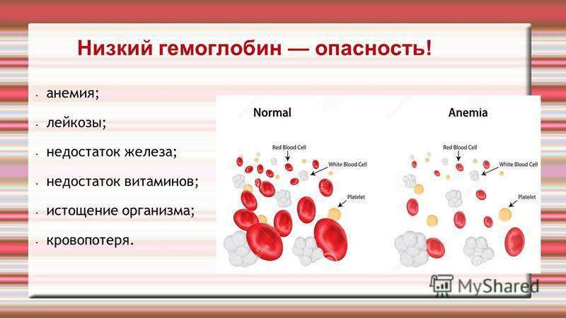 Какие основные показатели в анализе крови?